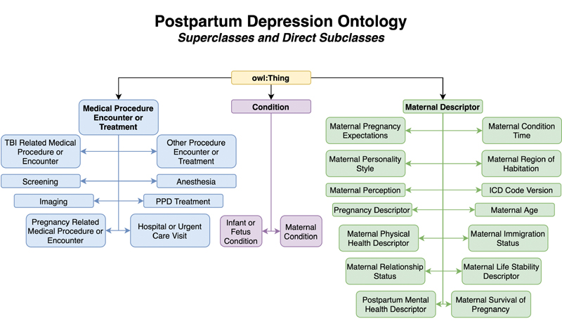 At the top is 'owl:Thing' pointing to 3 superclasses: 'Medical Procedure Encounter or Treatment', 'Condition', and 'Maternal Descriptor.' These, in turn, point to specific subclasses. For example, superclass Condition points to subclasses 'infant or fetus condition' and 'maternal condition'
